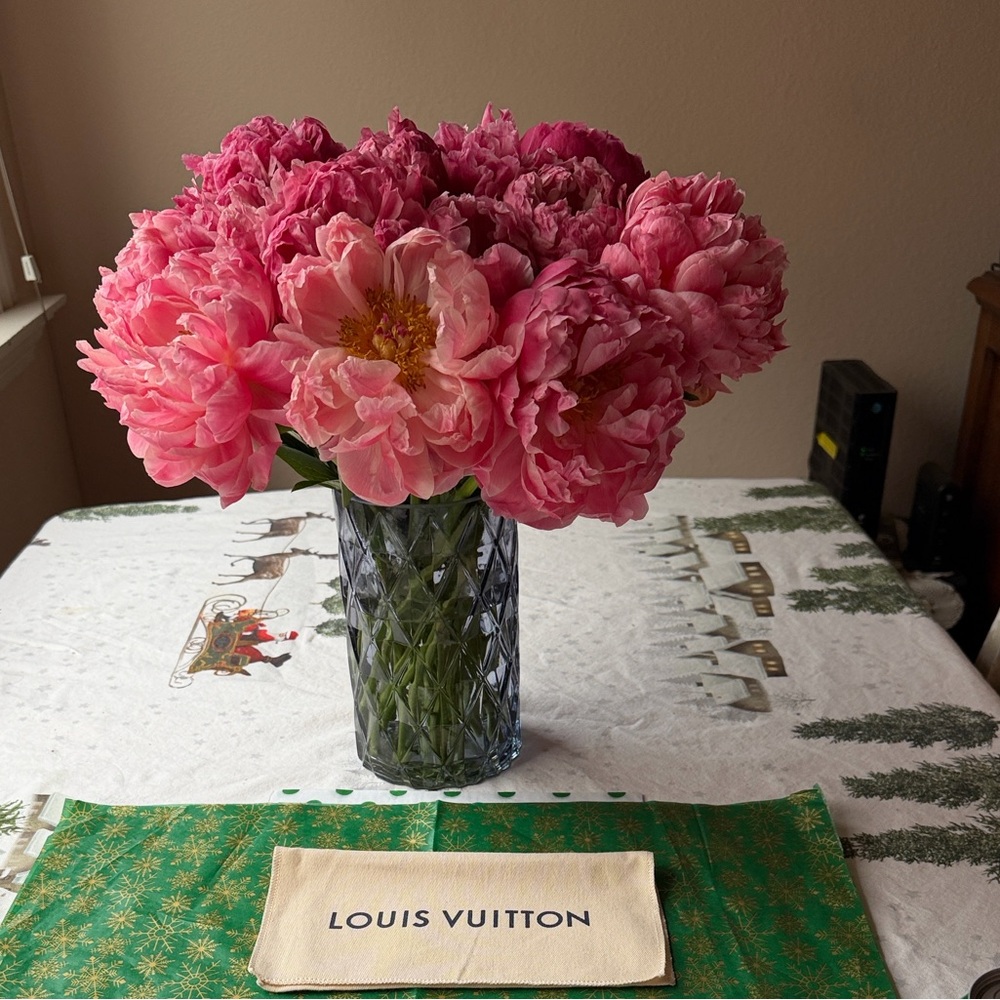🌹 LOUIS VUITTON DUST COVER 🌹 - Picture 2 of 12